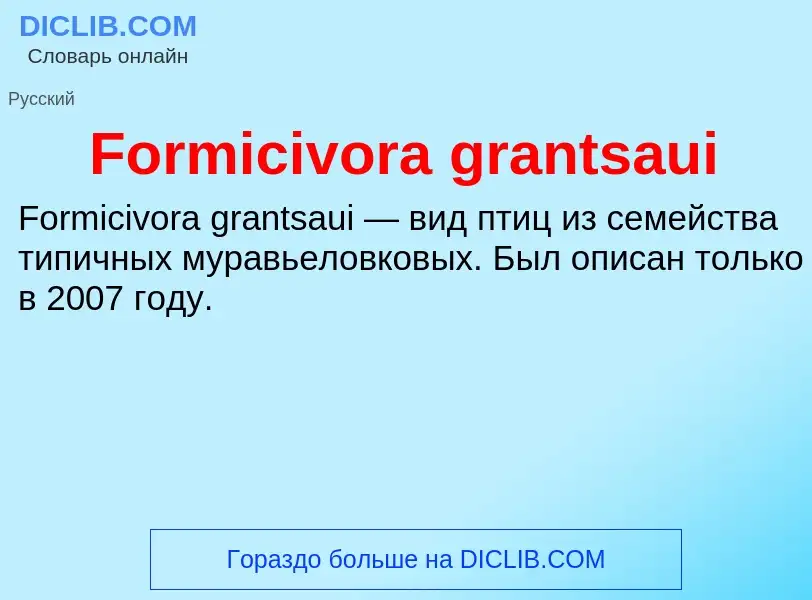 Что такое Formicivora grantsaui - определение