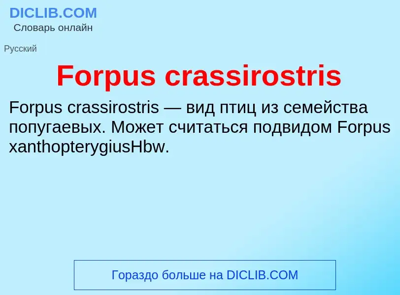 Что такое Forpus crassirostris - определение