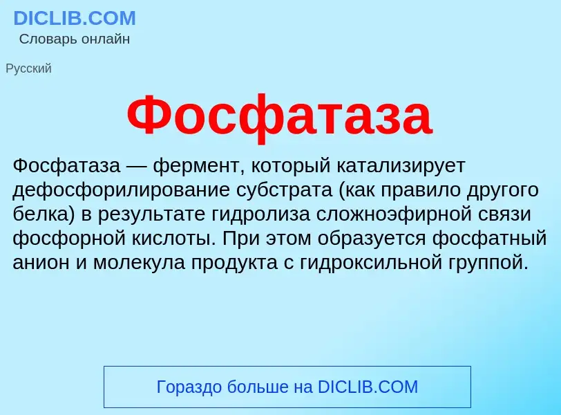 What is Фосфатаза - meaning and definition