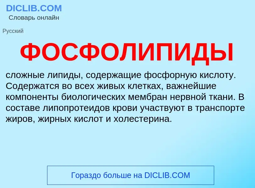 What is ФОСФОЛИПИДЫ - meaning and definition