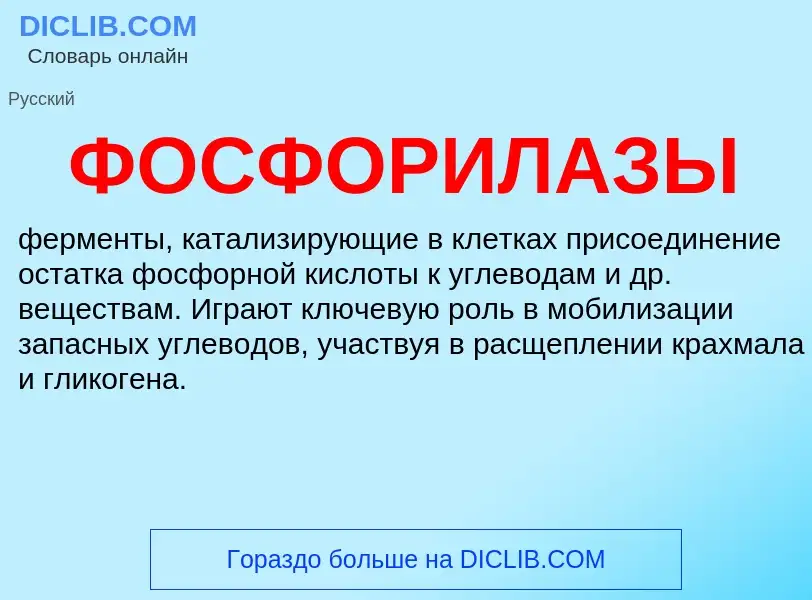 ¿Qué es ФОСФОРИЛАЗЫ? - significado y definición