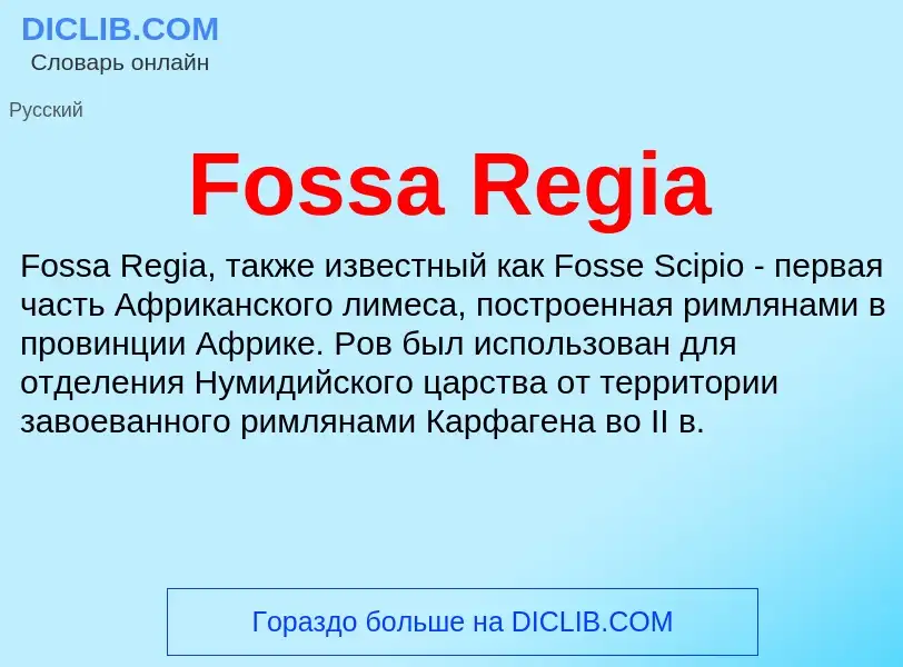 Что такое Fossa Regia - определение