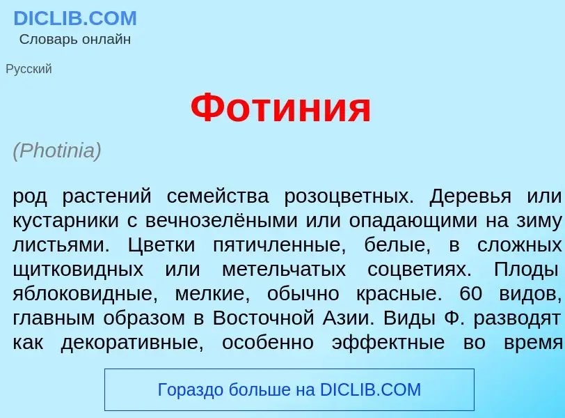 Что такое Фот<font color="red">и</font>ния - определение