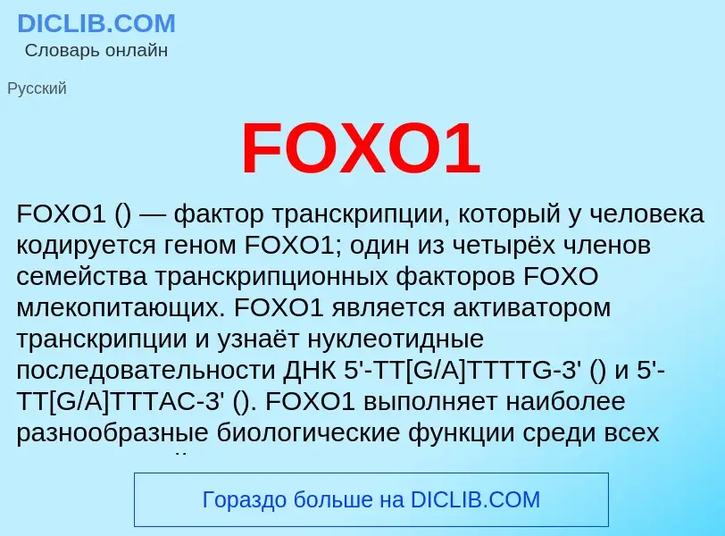 Что такое FOXO1 - определение