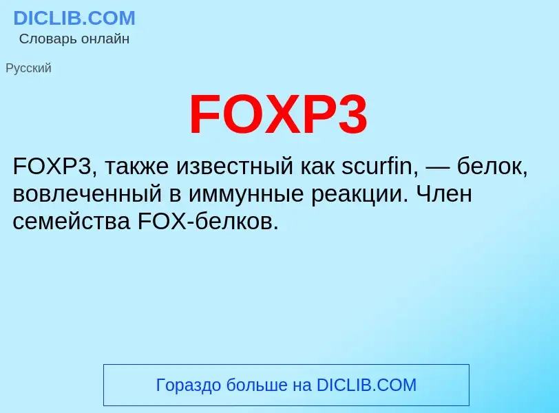 Что такое FOXP3 - определение