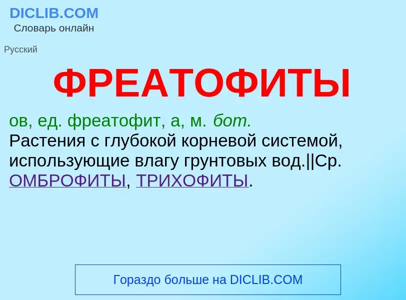 Что такое ФРЕАТОФИТЫ - определение