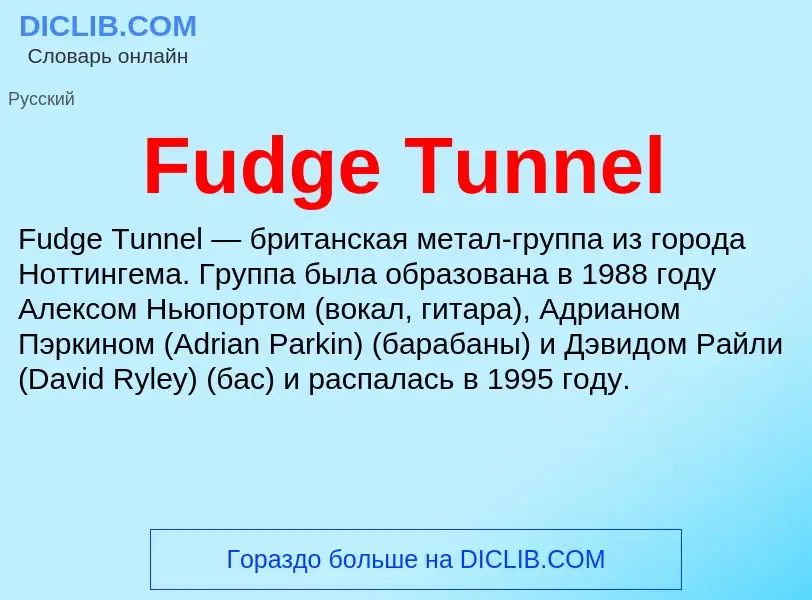 Что такое Fudge Tunnel - определение