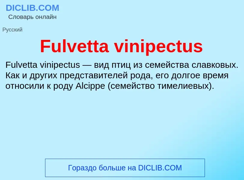 Что такое Fulvetta vinipectus - определение