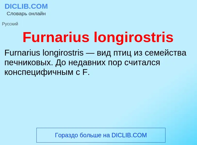 Что такое Furnarius longirostris - определение