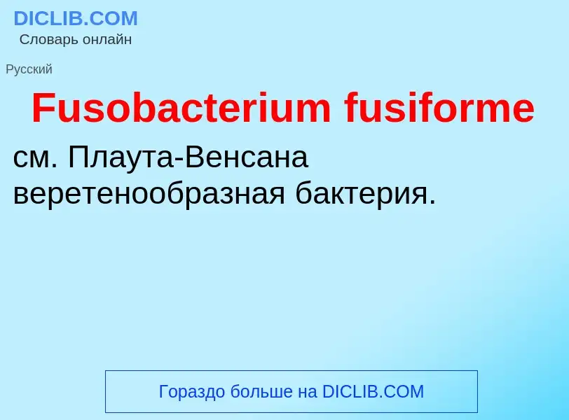 Что такое Fusobacterium fusiforme - определение