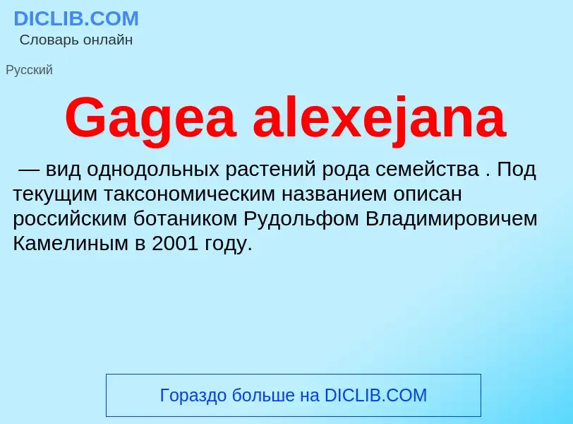 Was ist Gagea alexejana - Definition