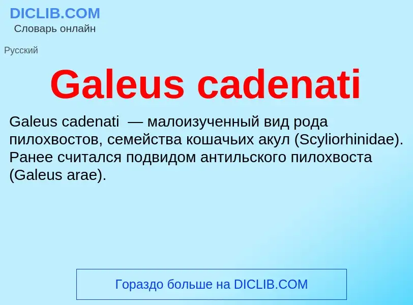 Was ist Galeus cadenati - Definition