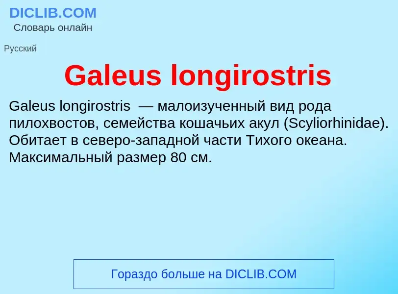 What is Galeus longirostris - meaning and definition