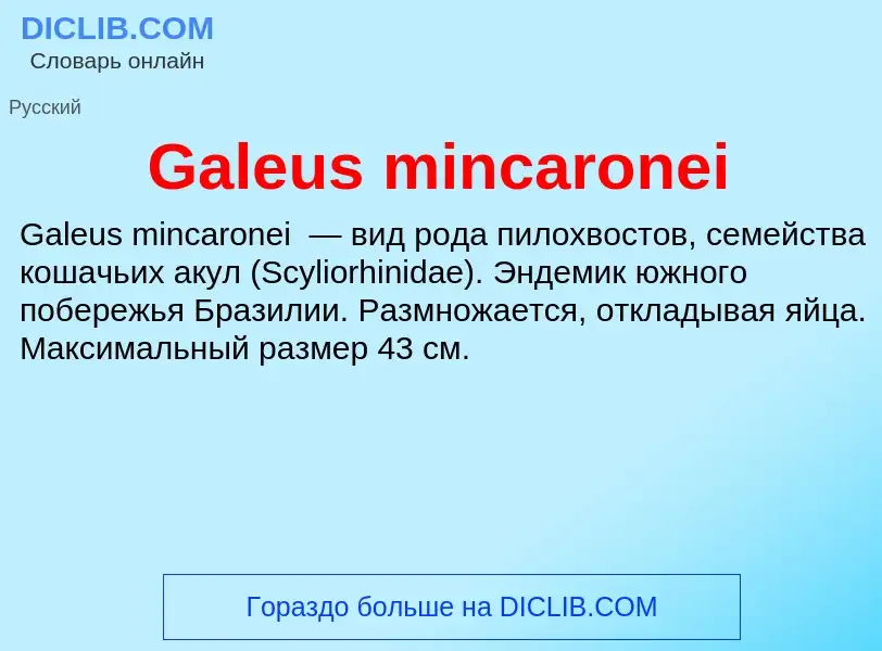 Was ist Galeus mincaronei - Definition