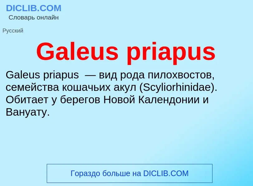 Was ist Galeus priapus - Definition