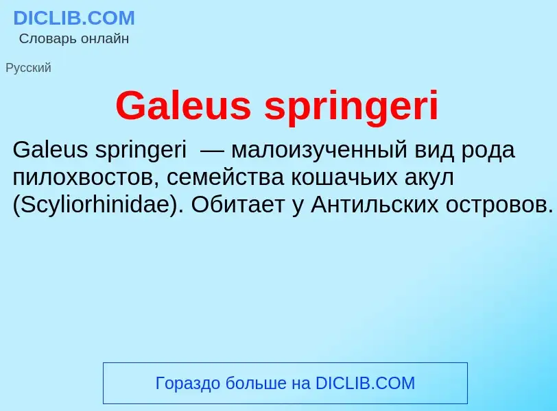 ¿Qué es Galeus springeri? - significado y definición