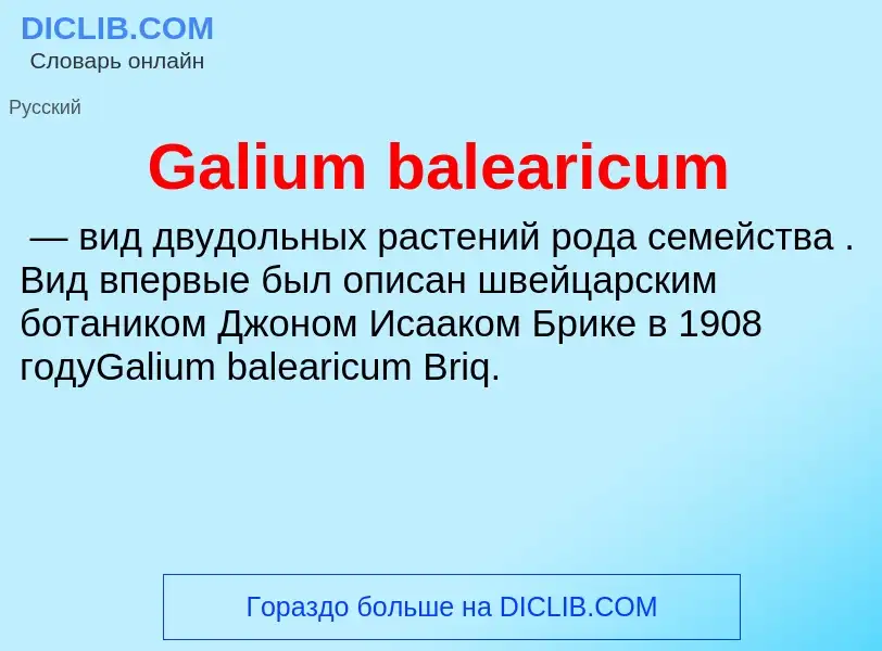 Was ist Galium balearicum - Definition