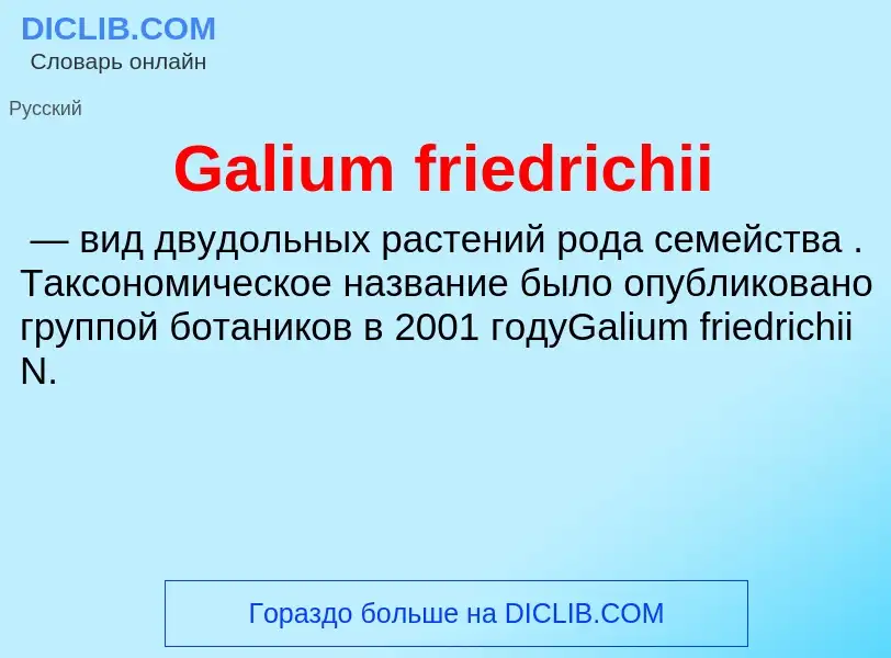 What is Galium friedrichii - meaning and definition