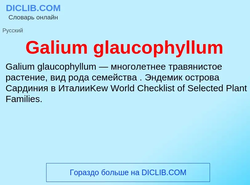 ¿Qué es Galium glaucophyllum? - significado y definición