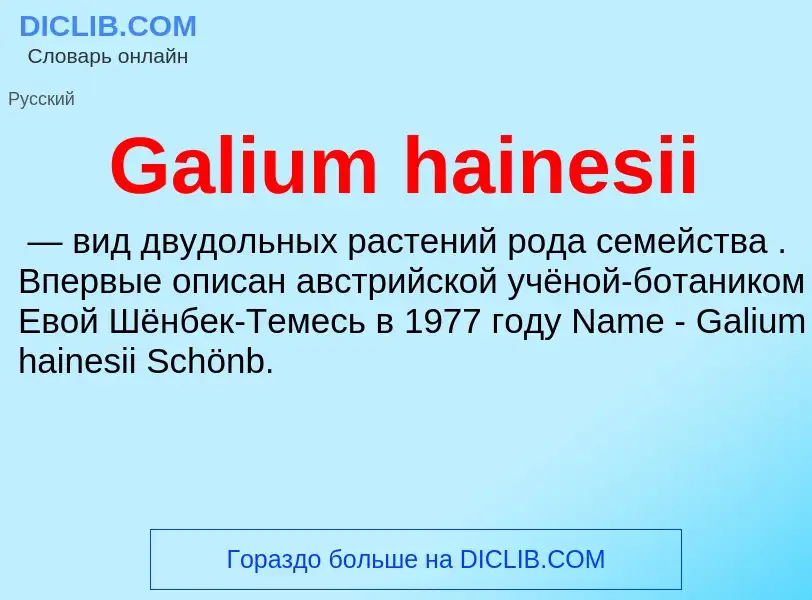 Was ist Galium hainesii - Definition