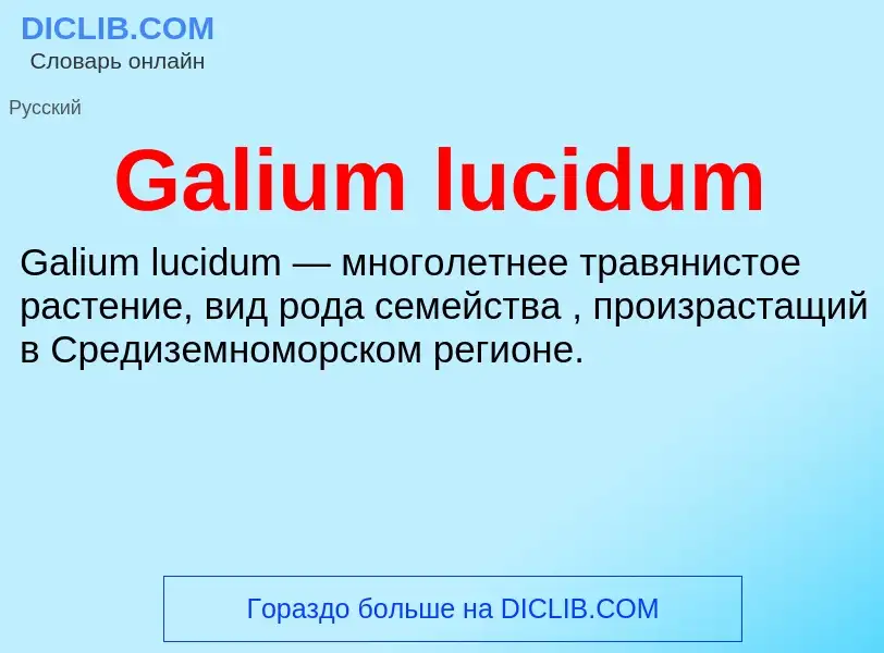 What is Galium lucidum - meaning and definition