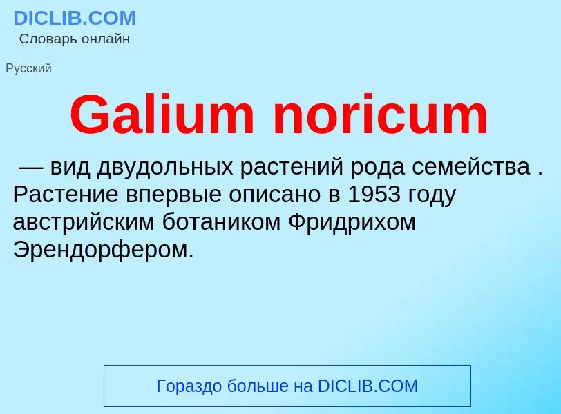 ¿Qué es Galium noricum? - significado y definición