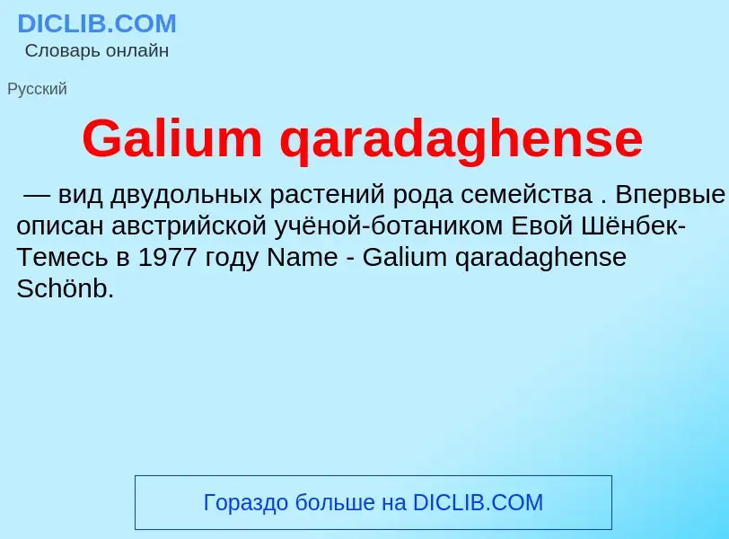 Was ist Galium qaradaghense - Definition