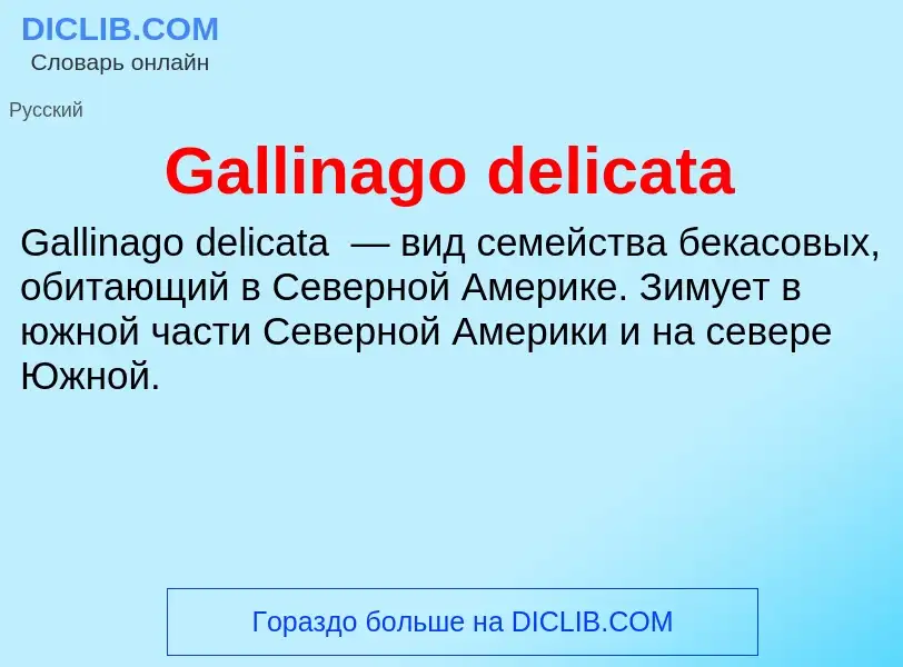 ¿Qué es Gallinago delicata? - significado y definición