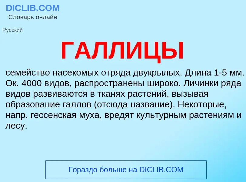 What is ГАЛЛИЦЫ - definition