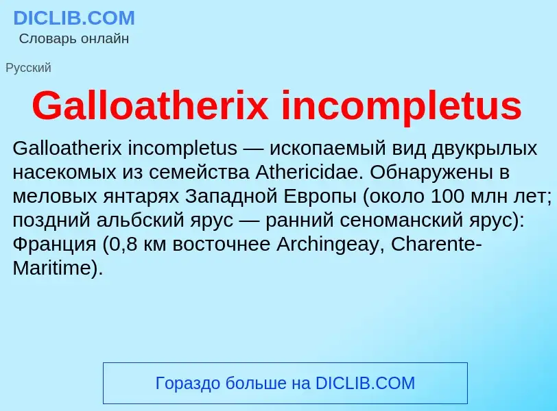 What is Galloatherix incompletus - meaning and definition