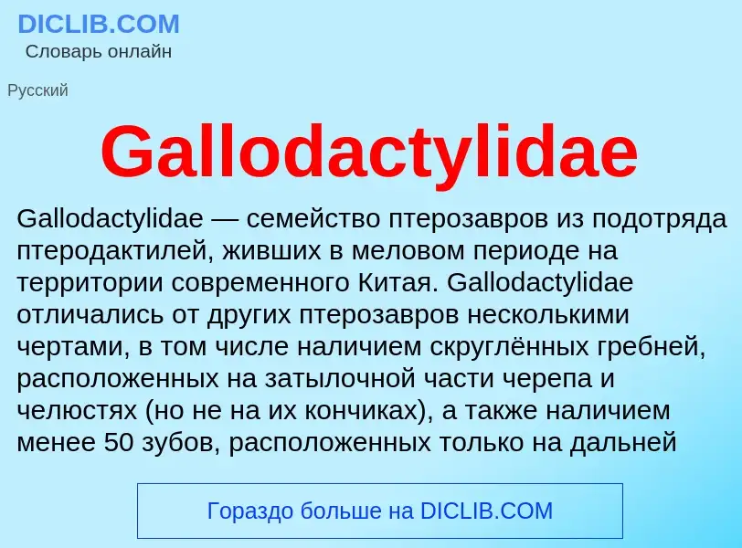 Was ist Gallodactylidae - Definition