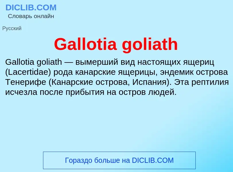 ¿Qué es Gallotia goliath? - significado y definición