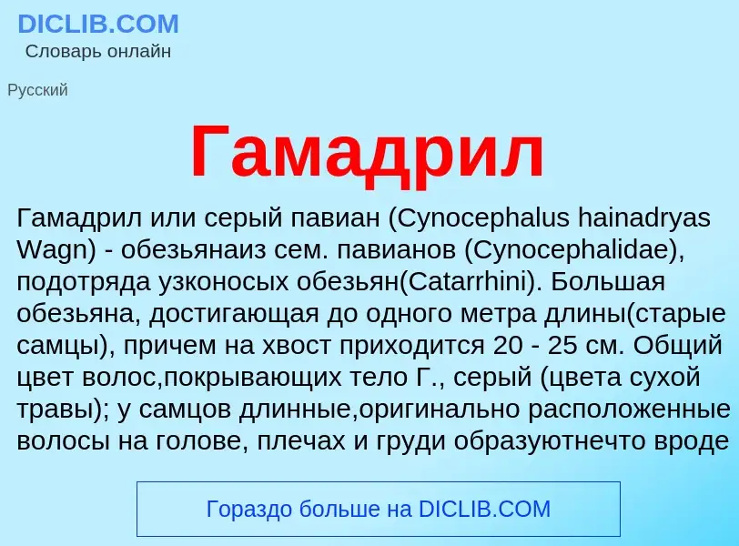 O que é Гамадрил - definição, significado, conceito