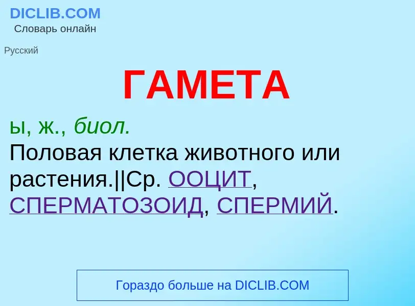 What is ГАМЕТА - definition