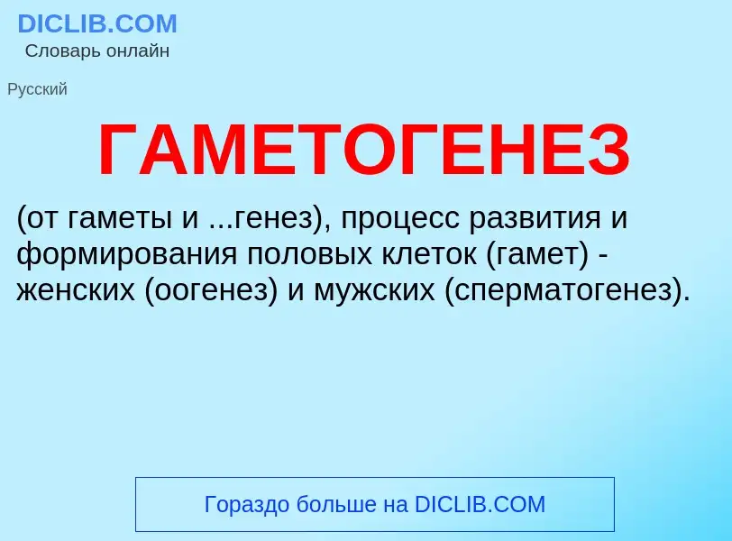 Что такое ГАМЕТОГЕНЕЗ - определение