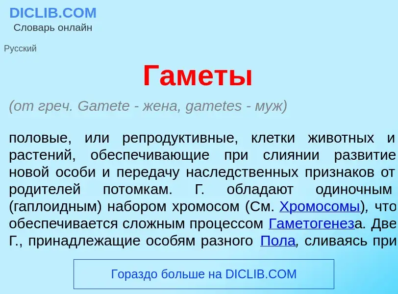 Что такое Гам<font color="red">е</font>ты - определение