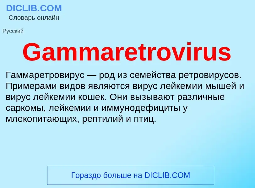 Что такое Gammaretrovirus - определение