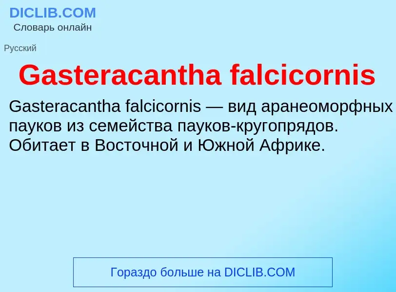 Что такое Gasteracantha falcicornis - определение