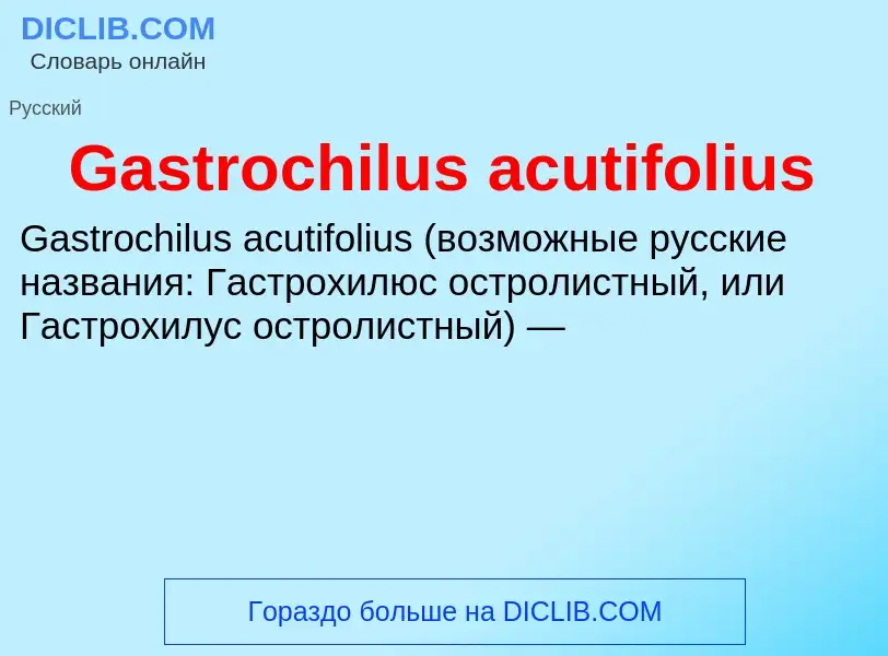 Что такое Gastrochilus acutifolius - определение