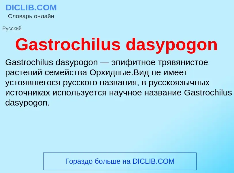 Was ist Gastrochilus dasypogon - Definition