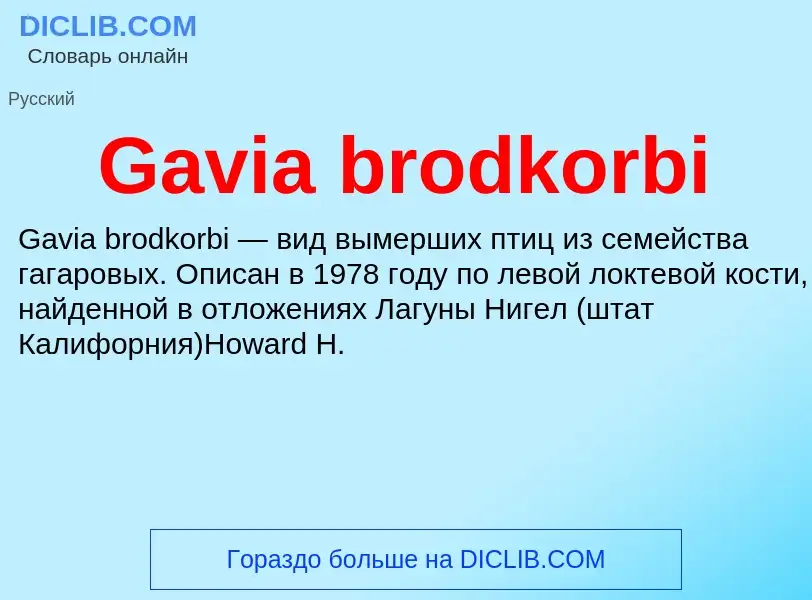 Что такое Gavia brodkorbi - определение