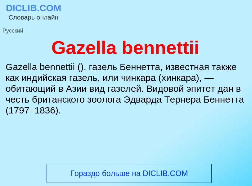 Что такое Gazella bennettii - определение