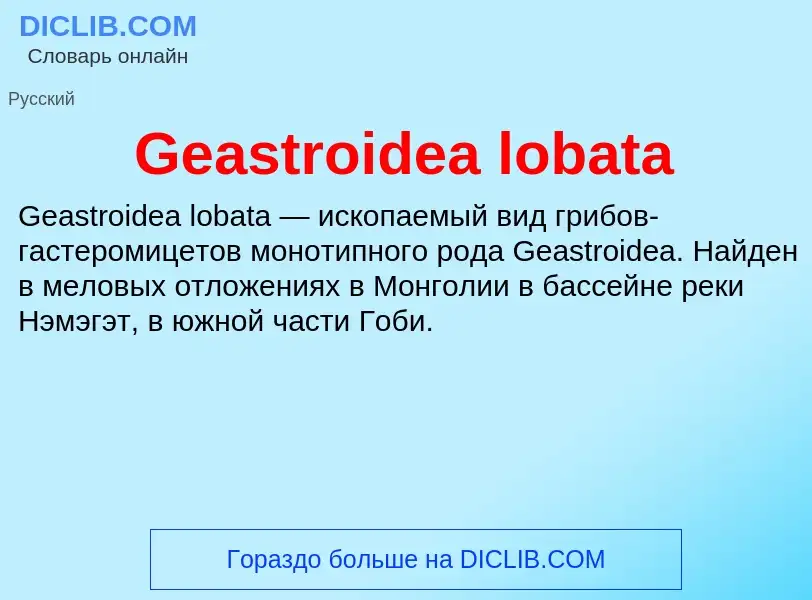 Что такое Geastroidea lobata - определение