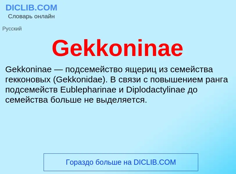 Что такое Gekkoninae - определение