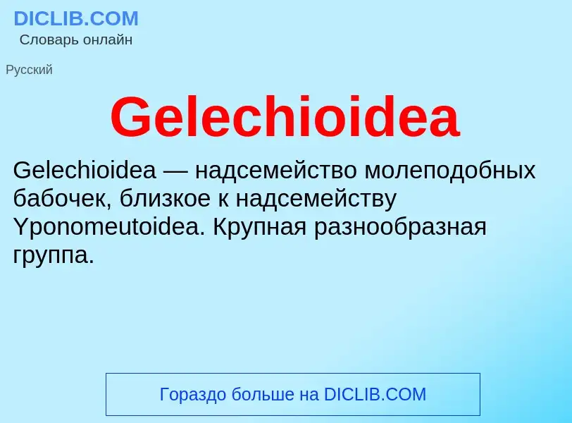 Что такое Gelechioidea - определение