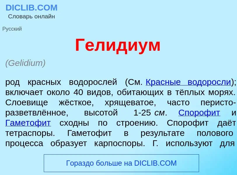 Che cos'è Гел<font color="red">и</font>диум - definizione