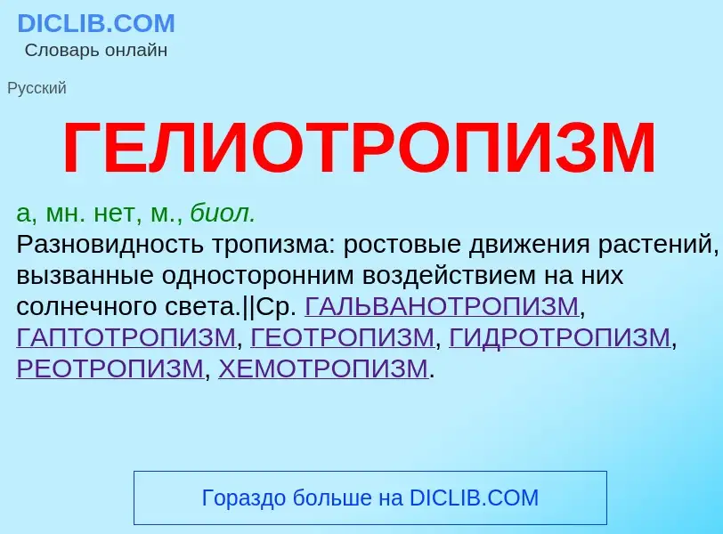 ¿Qué es ГЕЛИОТРОПИЗМ? - significado y definición