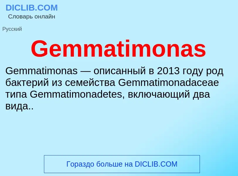 Что такое Gemmatimonas - определение