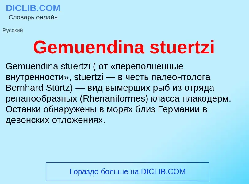 Что такое Gemuendina stuertzi - определение