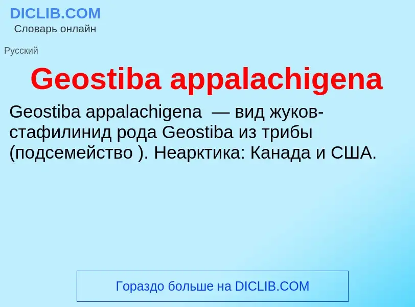 Τι είναι Geostiba appalachigena - ορισμός